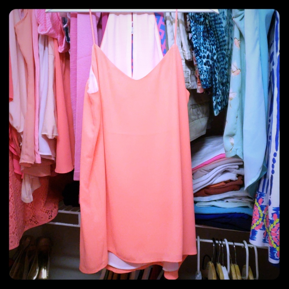 Express Sheer Coral Lined Sleeveless Blouse
